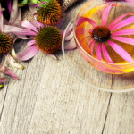 Ekinezyanın faydaları nelerdir? Ekinezya çayı nasıl yapılır? Ekinezya yağı ne işe yarar?