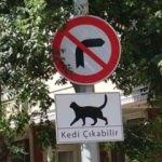 İstanbul'da dikkat çeken 'Kedi Çıkabilir' tabelaları