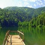 Trabzon turizmi lavanta bah&ccedil;eleriyle canlandıracak!