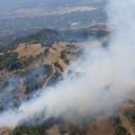 Denizli'de orman yangını: Havadan ve karadan müdahale ediliyor