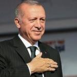 Cumhurbaşkanı Erdoğan'dan Van kedili "tbt" paylaşımı