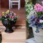 Maden suyu ile çiçek sulama faydalı mı? Çiçek sulama teknikleri...