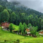 Karadeniz’in gözdesi: Ayder Yaylası