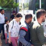Datça'da 23 kaçak göçmen yakalandı