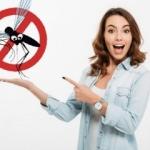 Sineklerin eve girmemesi i&ccedil;in ne yapılır? Sinek kovucu y&ouml;ntemler...