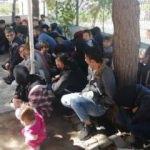 Çanakkale’de 190 kaçak göçmen yakalandı