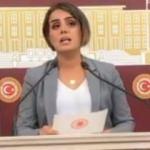 HDP, TBMM'de teröristlere yine kucak açtı