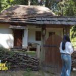 Ağaçlar içinde kültür tanıtımı: Ukrayna'nın geleneksel evleri