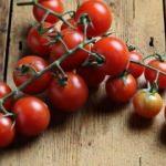 Domatesin çürümesi nasıl önlenir? Domates güvesi nasıl önlenir? 