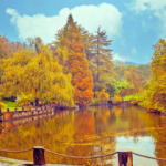 Neşet Suyu Tabiat Parkı'na nasıl gidilir? Neler yapılır?