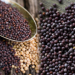 Hardalın faydaları nelerdir ve hastalıklara iyi gelir? Siyah hardal tohumu nasıl kullanılır?