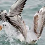 Belki de daha &ouml;nce duymadığınız birbirinden enteresan bilgiler	