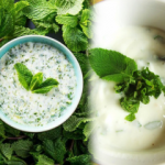 Naneli yoğurt ile zayıflama kürü! Nane yoğurt mucizesi nedir? Naneli yoğurt nasıl yapılır?