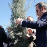 Aksaray 30 yıl önce il oldu! 30 bin fidan...