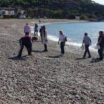 Kedilerin ölümünden sonra sahilde balon balığı aradılar