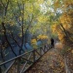 Malatya Tohma Kanyonu sonbahar renkleriyle göz kamaştırıyor