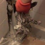 Tuvalet gider borusunda 3 gün mahsur kalan kedi kurtarıldı
