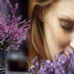 Hangi çiçekler böcekleri evden uzak tutar?