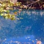 Kahramanmaraş'ın gizemli cenneti: Yeşilgöz 