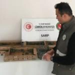 Pizza kutularından çıktı! Görenler hayrete düşürdü