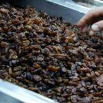 Manisa'dan Çin'e 3 milyon dolarlık kuru üzüm ihracatı