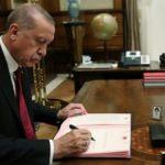 Cumhurbaşkanı Erdoğan'ın vetosu 'hastalık' zincirini durduracak