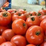 Dünyada domates üretiminde üçüncü sıradayız