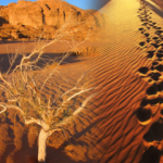 Hurma ve zemzemin faydaları neler? Zemzem suyu nasıl içilir?