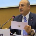 Dışişleri Bakanı Çavuşoğlu, AP üyesine dersini verdi
