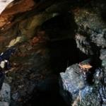 Kıran-8 Sehi Ormanları Operasyonu başladı! İlk fotoğraflar...	