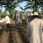 TİKA aracılığıyla yerli nohut Küba’da yetiştirilecek