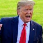 Trump ABD Senatosuna destek vermedi