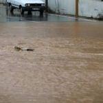 Adana'da selde kaybolan iki kişi bulundu