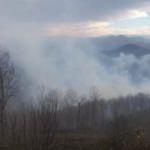 İçişleri Bakanlığından Karadeniz'deki orman yangınlarıyla ilgili açıklama!