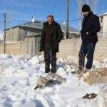 Başkale’de yürek burkan görüntü!