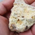 Çam sakızının faydaları nelerdir? Çam sakızı hangi hastalıklara iyi gelir? Çam sakızı tüketilir mi?