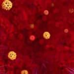 Çin'de gizemli virüs paniği!