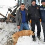 Aç ve susuz 2 gün boyunca mahsur kaldılar