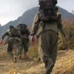 PKK'da çöküş sürüyor... Teröristler güvenlik güçlerine teslim oluyor