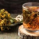 Kantaronun faydaları nelerdir? Kantaron yağı ne işe yarar? Sarı kantaron çayı nasıl yapılır?