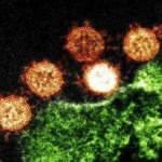 Koronovirüs dehşeti! Ölü sayısı 56'ya yükseldi, şehirler mühürlendi