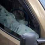 Cesetle yolculuk eden bir kişi polisi alarma geçirdi!