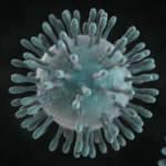 Koronavirüsü yüzünden Türkiye'de 30 bin iptal!