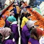Koronavirüs korkusu: Çin yerine Türkiye pazarına yöneldiler