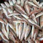 Barbun nasıl ayıklanır? Barbunya balığını ayıklamanın püf noktaları