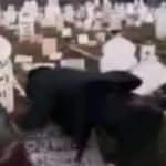 Esad rejimi camileri tahrip etti