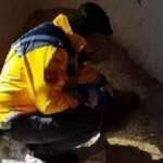 Kaçak göçmen donarak öldü!