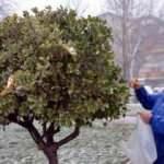 Soğuk havada kuşlar için yaptığı yürekleri ısıttı