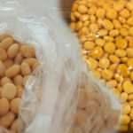 Termiye nedir? Termiyenin faydaları nelerdir? Termiye nasıl yenir?