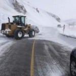Artvin-Ardahan yoluna çığ düştü